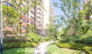 万科公园里 万科公园里